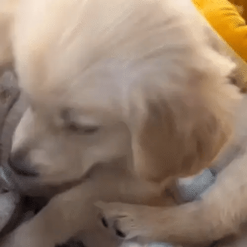 PACK: Peluche Antiestrés + Lámpara ambiente – Paz, Luz y Respiración para Dormir Mejor